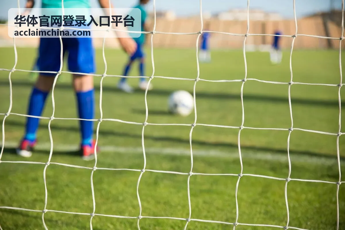 华体官网登录入口平台短信验证码校验提示页面